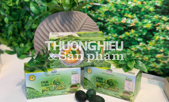 Cẩn trọng trước thông tin quảng cáo sản phẩm TPBVSK Trà xạ đen Protea