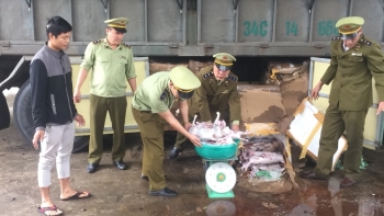 Hà Tĩnh: Ngăn chặn kịp thời 420kg thịt chó, mèo đã bốc mùi hôi thối