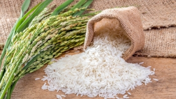 Cập nhật giá gạo chiều nay 30/11: Tăng giảm trái chiều