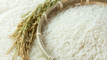 Cập nhật giá gạo chiều nay 1/12: Quay đầu giảm nhẹ