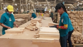 Xuất khẩu gỗ tăng trưởng ấn tượng, đạt gần 11 tỷ USD trong 11 tháng