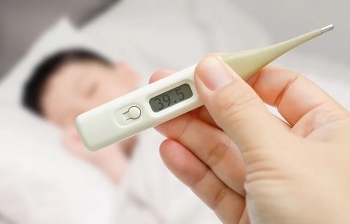 Đồng Tháp: Tăng cường phòng, chống bệnh sốt xuất huyết, Zika, Chikungunya