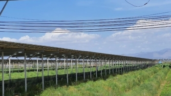 Điện mặt trời trang trại nông nghiệp được gỡ khó