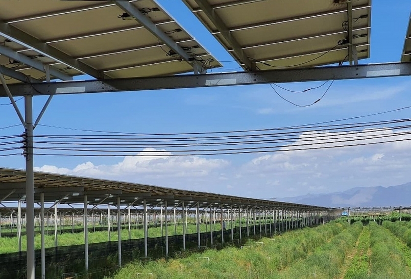 Điện mặt trời trang trại nông nghiệp được gỡ khó