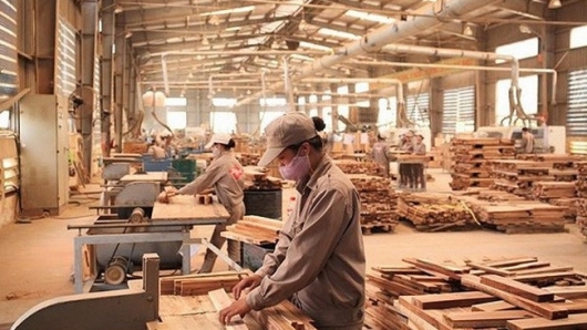 Ngành gỗ Việt Nam có mức tăng trưởng ấn tượng