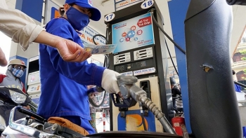 Giá xăng dầu hôm nay 26/11: Dầu vẫn giữ đà tăng trưởng tốt