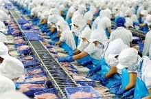 Xuất khẩu thủy sản Việt Nam ước đạt gần 8 tỷ USD