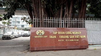 Năm 2020, ngành than báo lãi gần 3.000 tỷ đồng