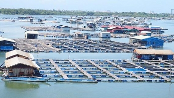 Hà Nội nuôi thủy sản ứng dụng công nghệ cao