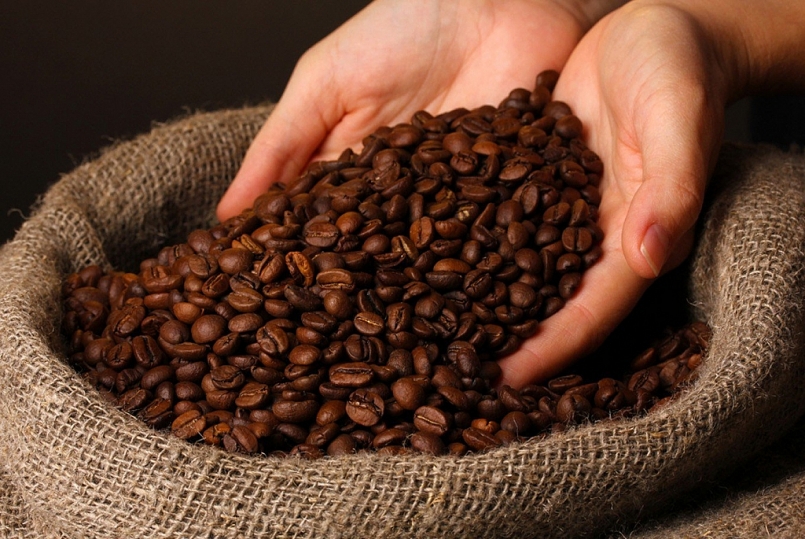 Giá cà phê hôm nay 16/10: Nhích nhẹ 300 đồng/kg