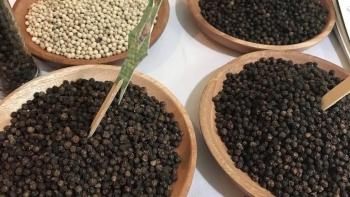Giá hồ tiêu hôm nay 29/10: Ổn định ở mức cao