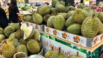 "Thông đường" cho sầu riêng, bưởi, chanh leo sang Trung Quốc