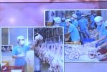 Giá thịt lợn giảm mạnh sau mấy ngày tăng sốc