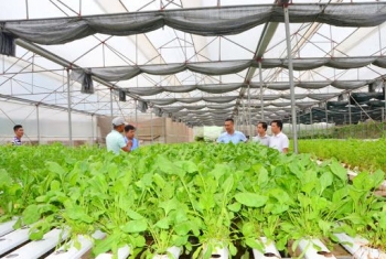 Quảng Ninh chọn hướng bền vững cho phát triển nông nghiệp