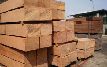 Kiên quyết loại bỏ doanh nghiệp làm ăn gian lận, phi pháp trong ngành gỗ