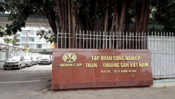 Tập đoàn Công nghiệp Than - Khoáng sản mất gần 50% lợi nhuận sau 6 tháng