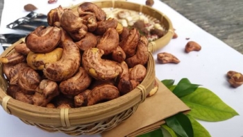 Dịch COVID-19 khiến ngành xuất khẩu hạt điều khó càng thêm khó